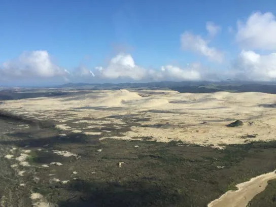 De zandduinen net voor Cape Reinga
