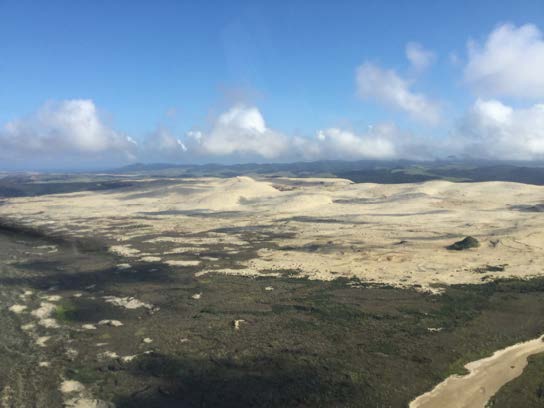 De zandduinen net voor Cape Reinga